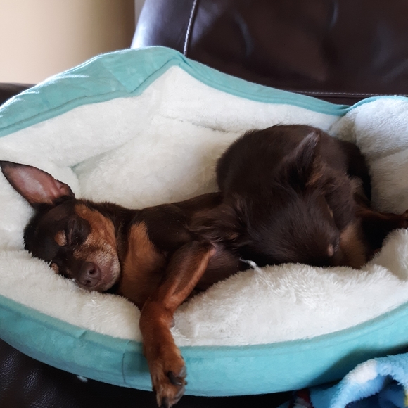 Meet your Posher, !Beth - Picture 6 of 8